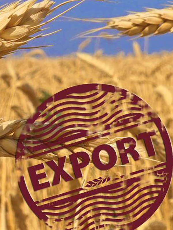 export